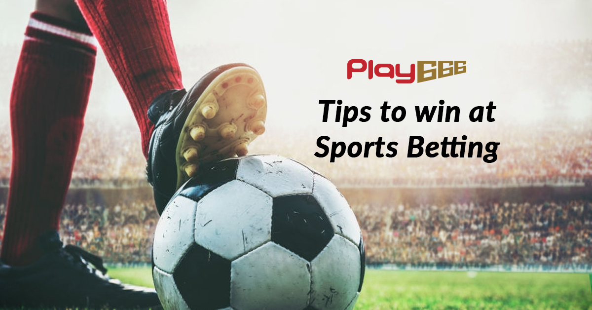 Top Sports Betting Sites for High Odds