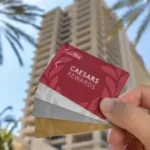 Loyalty and VIP Rewards Programs Explained