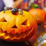 Seasonal Casino Promotions: When to Play for the Best Rewards